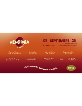 Vendimia CAVALL 7